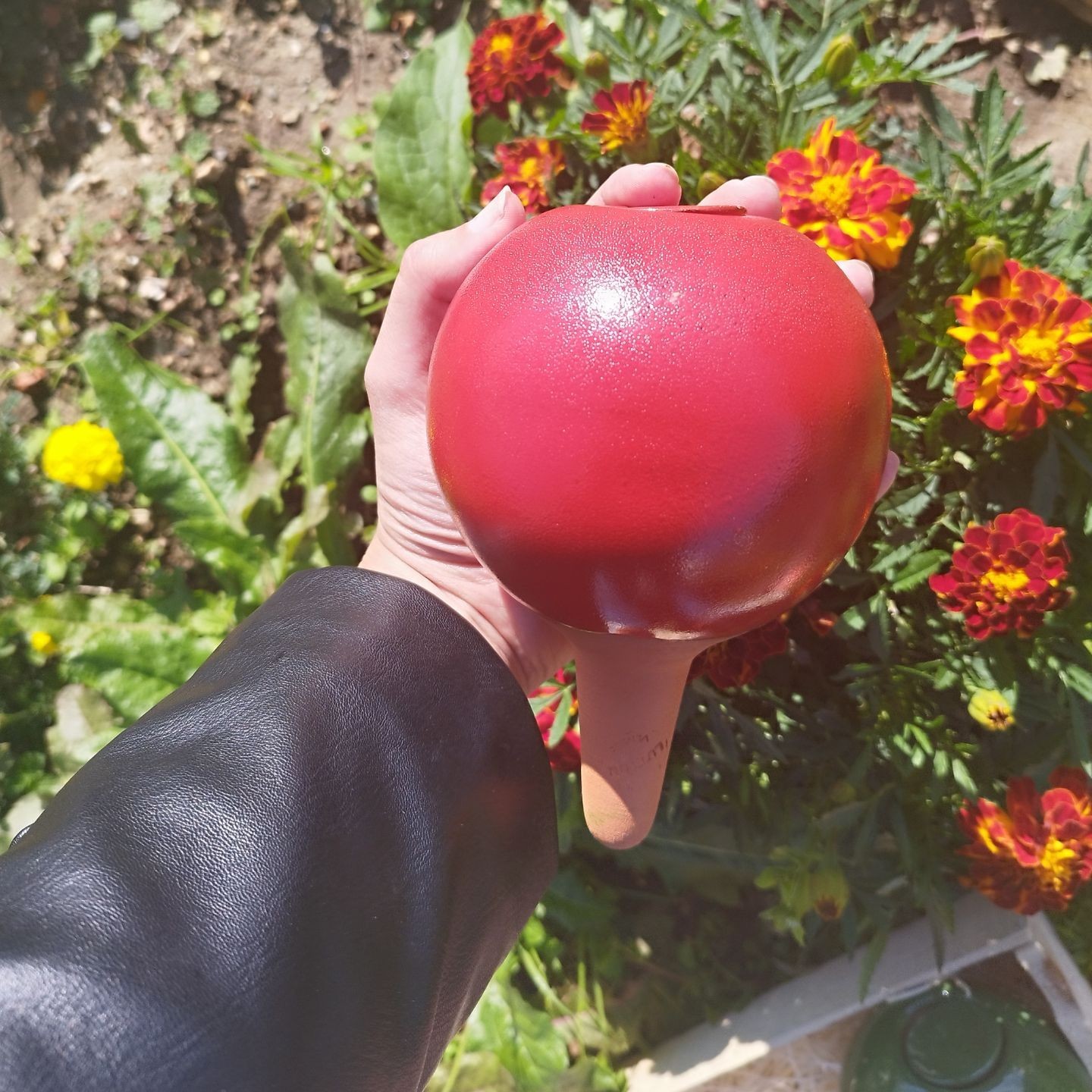 Ollas à Planter Nuancées - Poterie Lutton