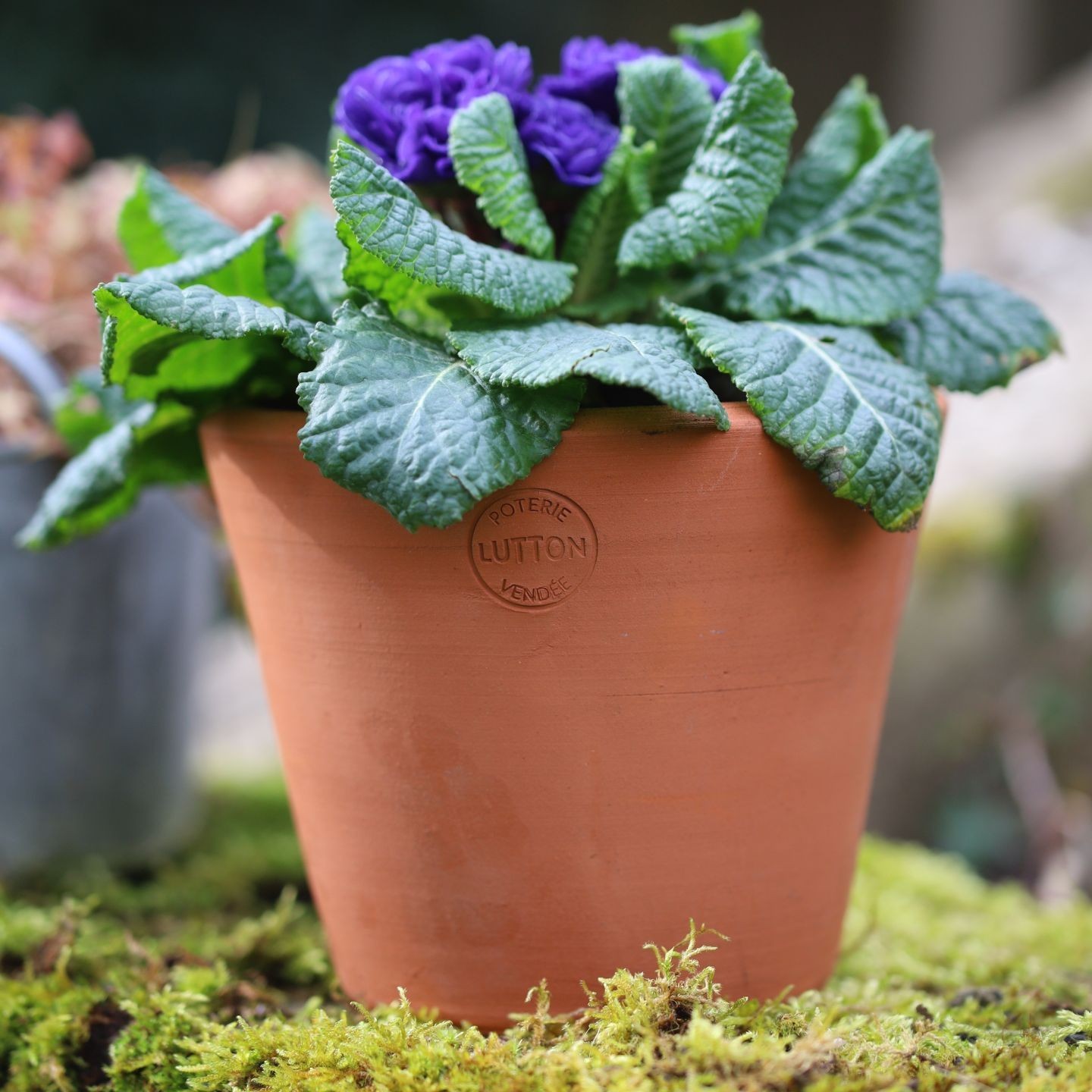 Pots Terracotta Artisanaux – Français et de qualité pour vos Espaces Extérieurs