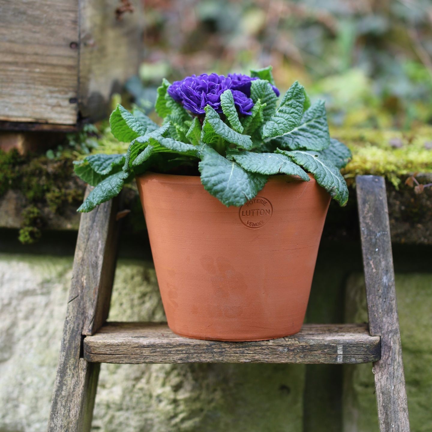 Pots Terracotta Artisanaux – Français et de qualité pour vos Espaces Extérieurs
