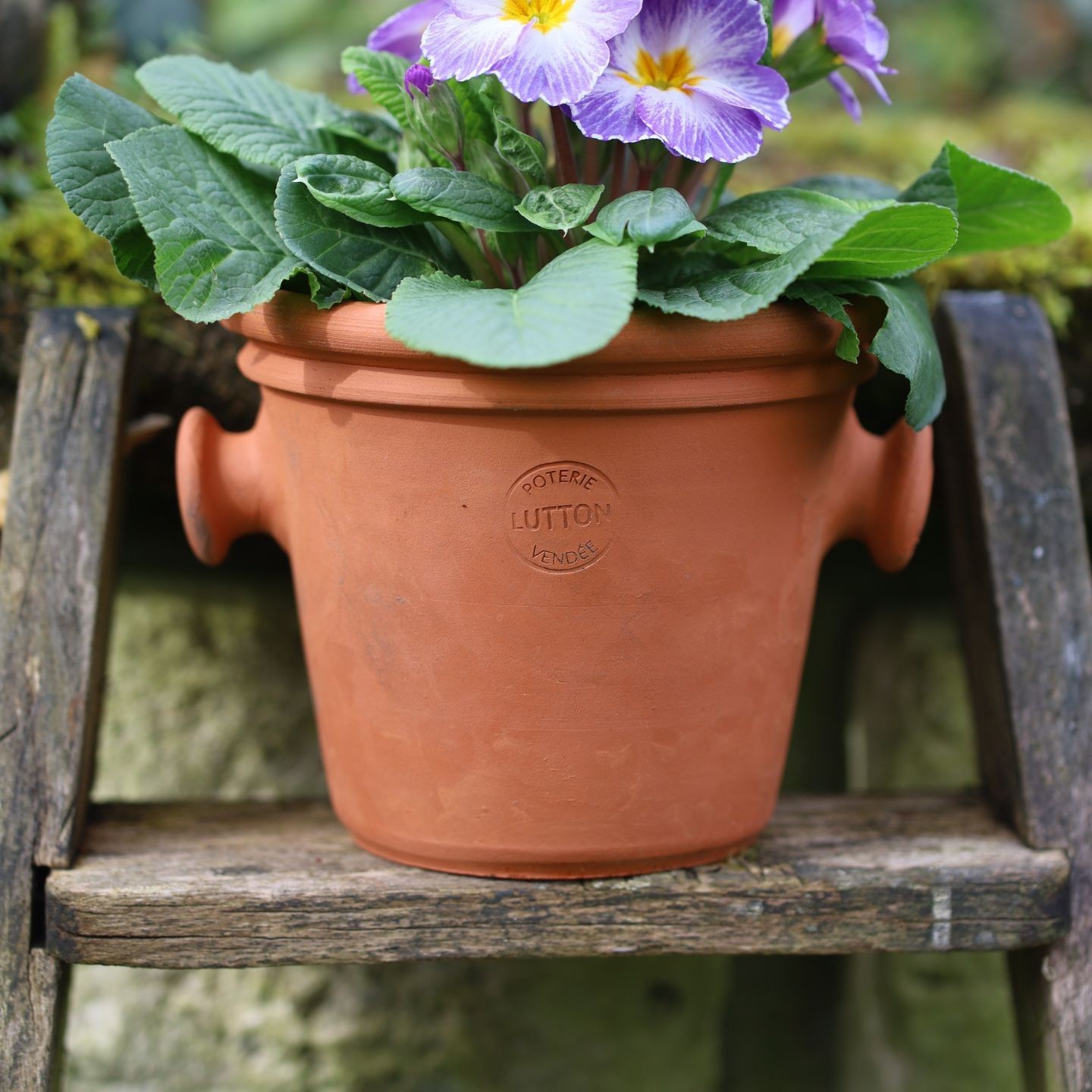 Pot à Oreille en Terre Cuite – Fabriquée en France