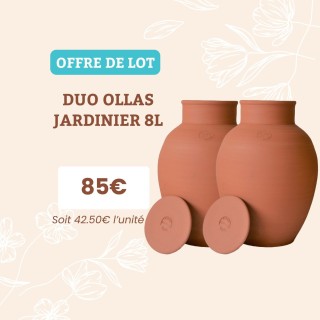 Économisez 9€ sur le Lot de 4 Ollas Jardinier 8L - Arrosage Écologique