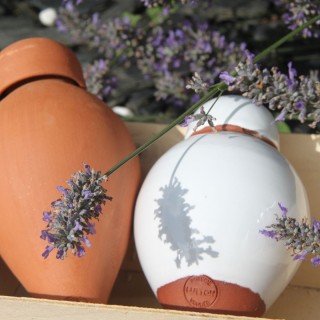 copy of Coffret ollas Lutton