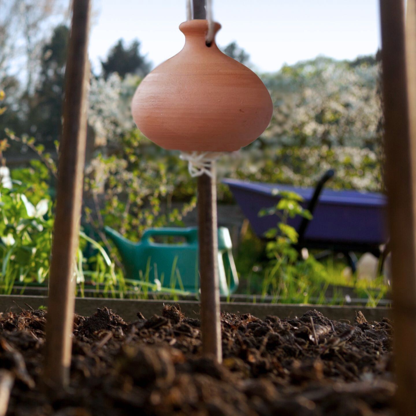 Cocon pour Perce-oreilles - Ollas Lutton