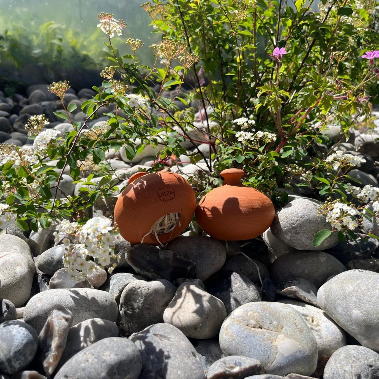 Cocon pour Perce-oreilles - Ollas Lutton