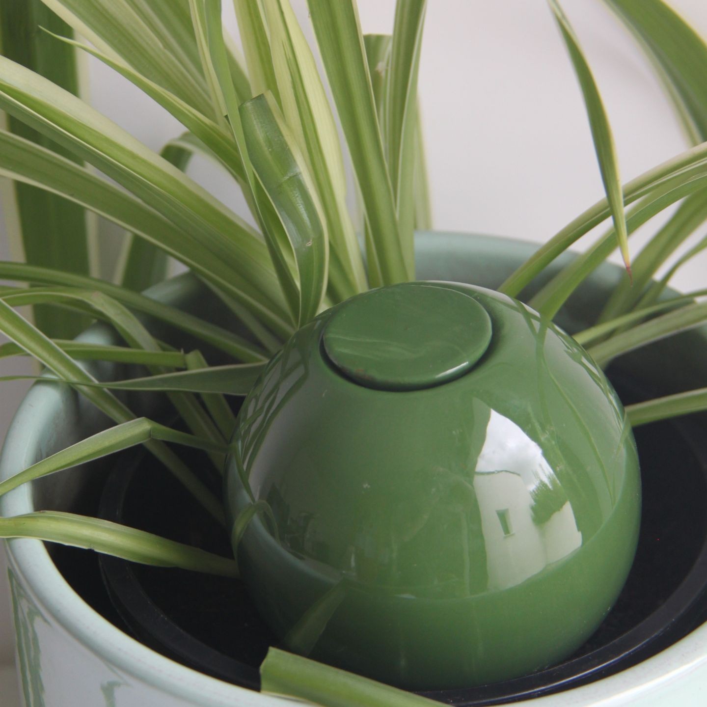 Ollas à Planter Medium -  Fabrication 100% artisanale en Vendée.