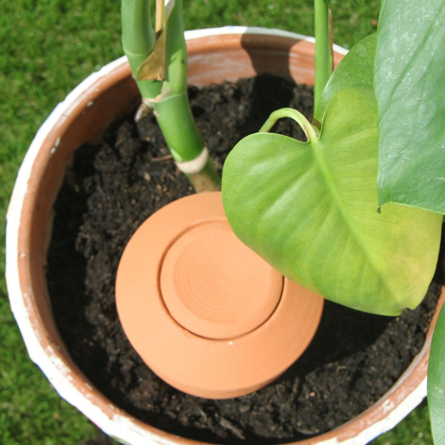 Ollas Bolet : Irrigation Naturelle  - Artisanat Français