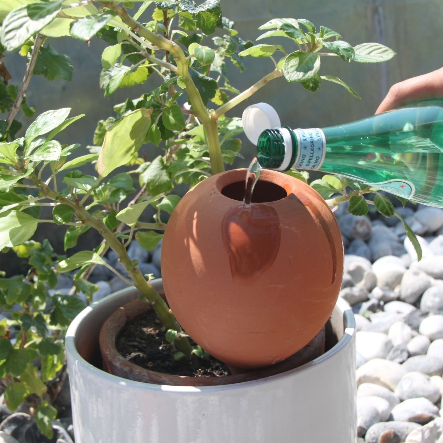 Ollas à Planter Large 1L Nature – Arrosage Autonome Écologique pour Plantes d'Intérieur | Poterie Lutton