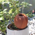 Ollas à Planter Large 1L Nature – Arrosage Autonome Écologique pour Plantes d'Intérieur | Poterie Lutton