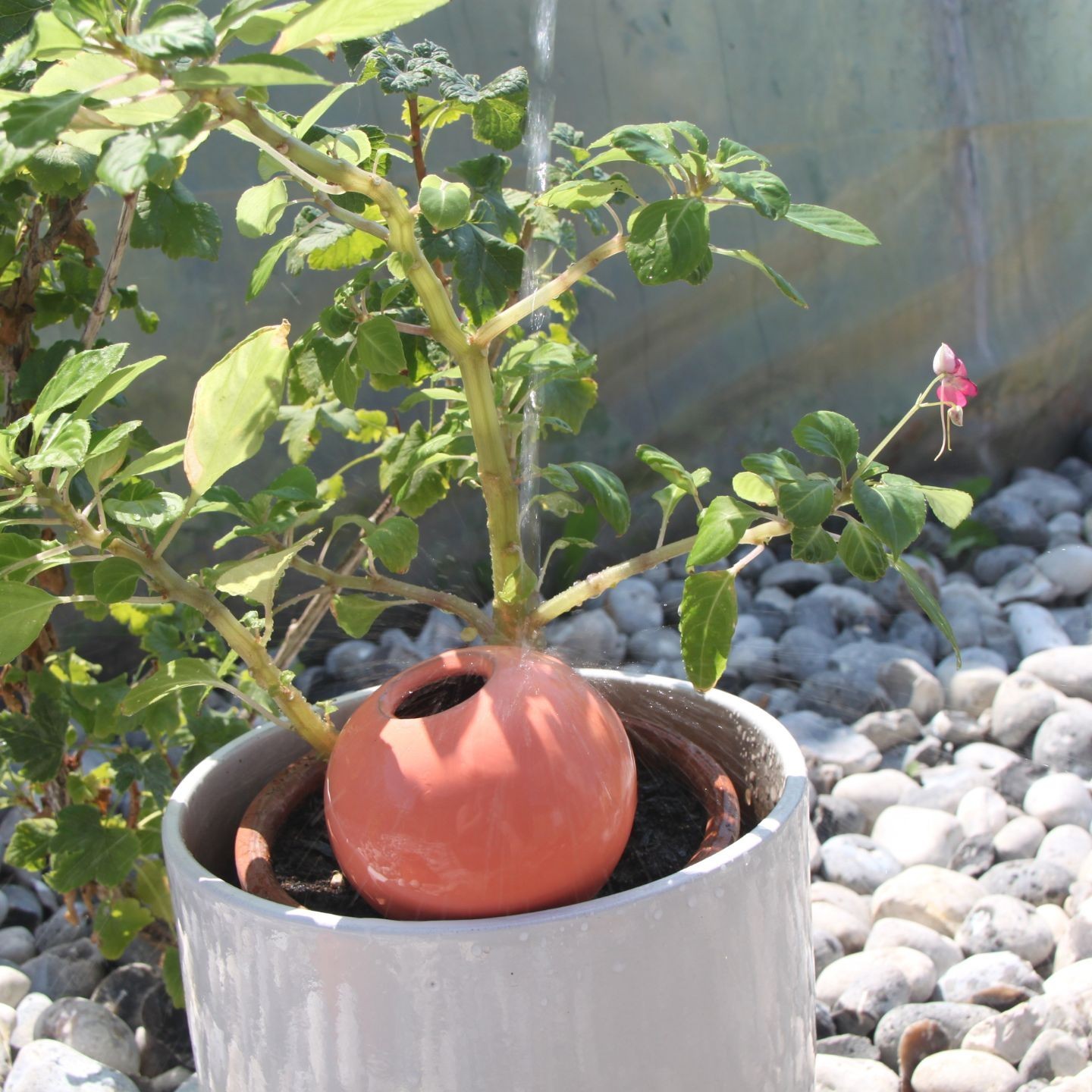 Ollas à Planter Pastel Pêche et Pistache | Arrosage Écologique et Design