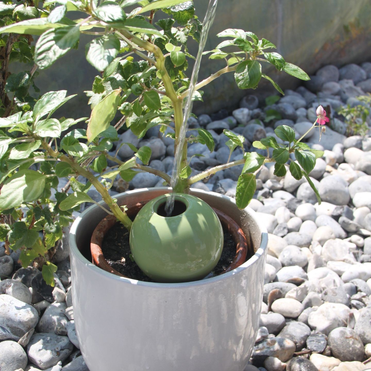 Ollas à Planter Pastel Acheter - Ollas Lutton - Diffuseur d'eau autonome