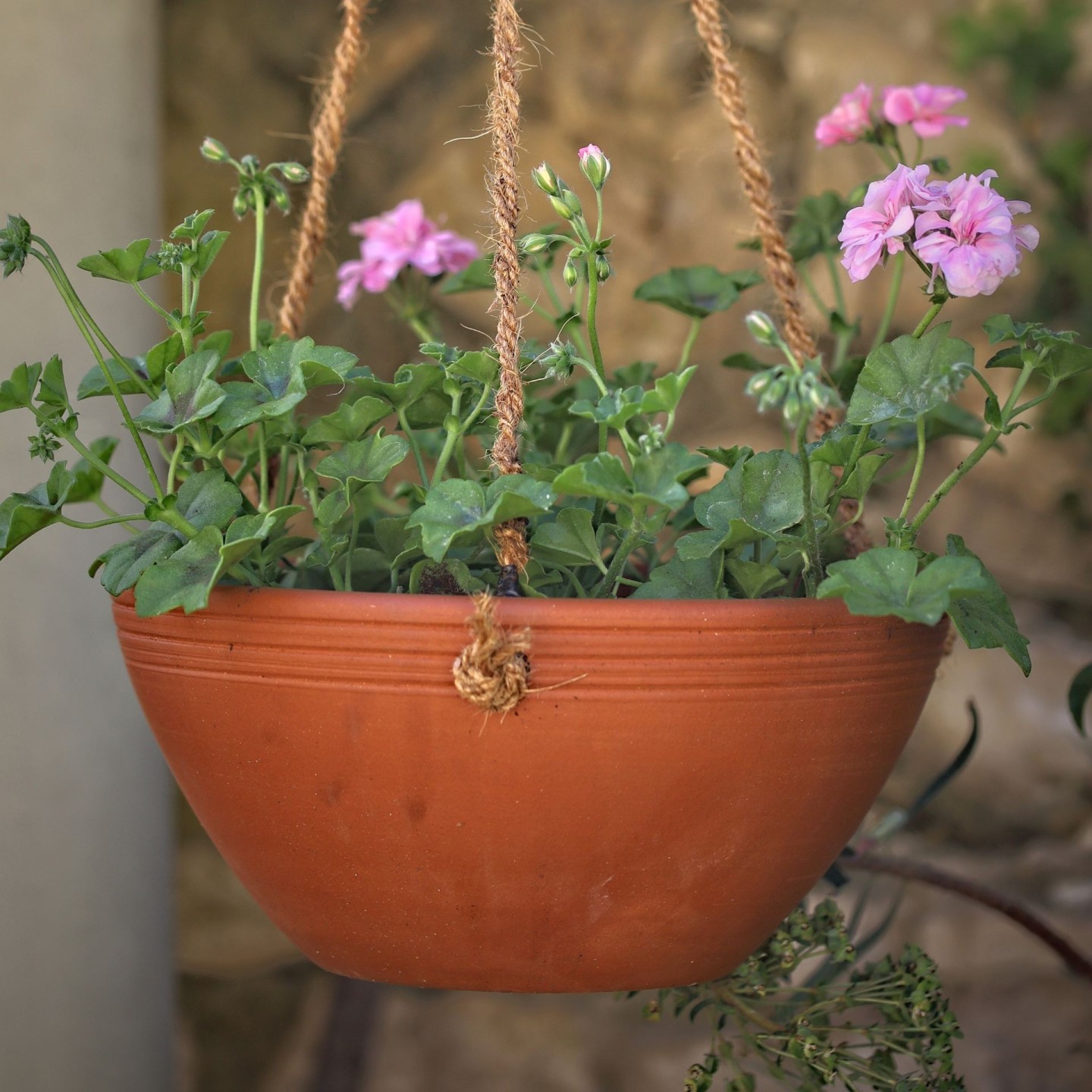 Pot à suspendre - Ollas Lutton