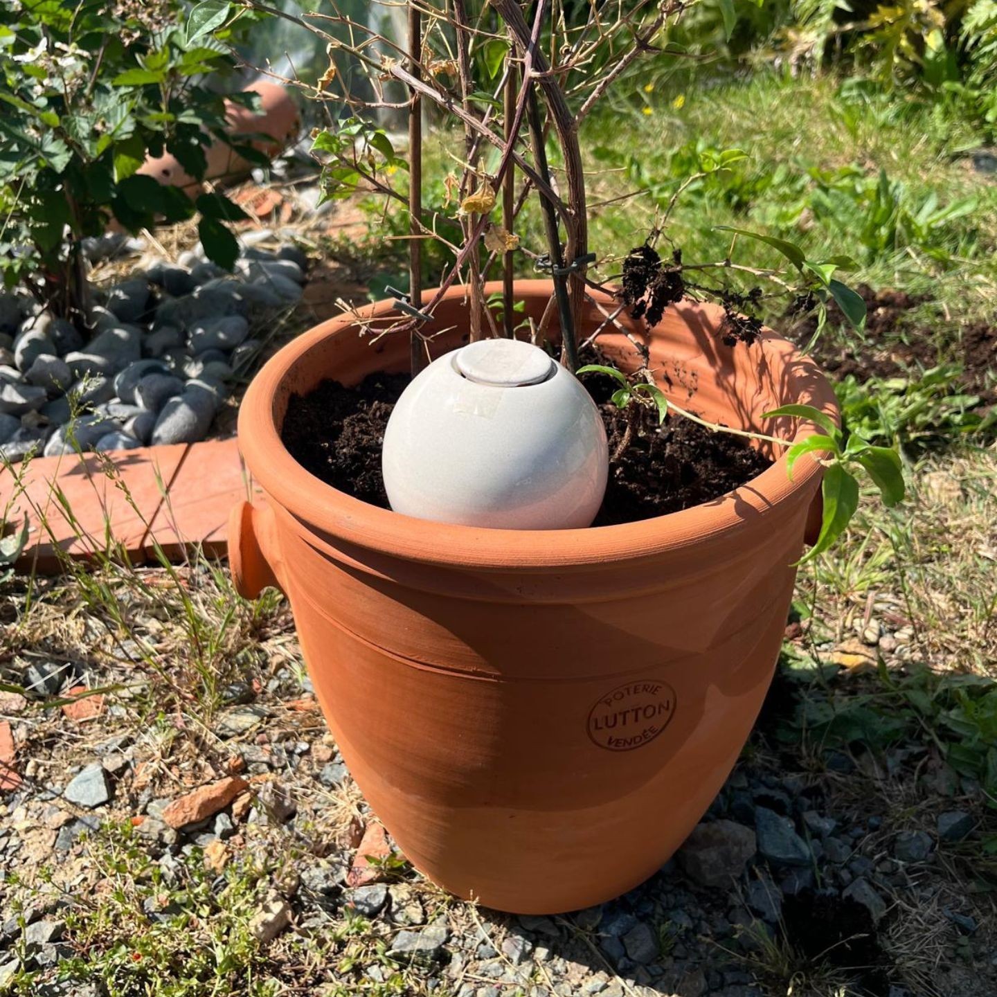 Ollas à Planter Métallique Acheter - Ollas Lutton - Diffuseur d'eau autonome