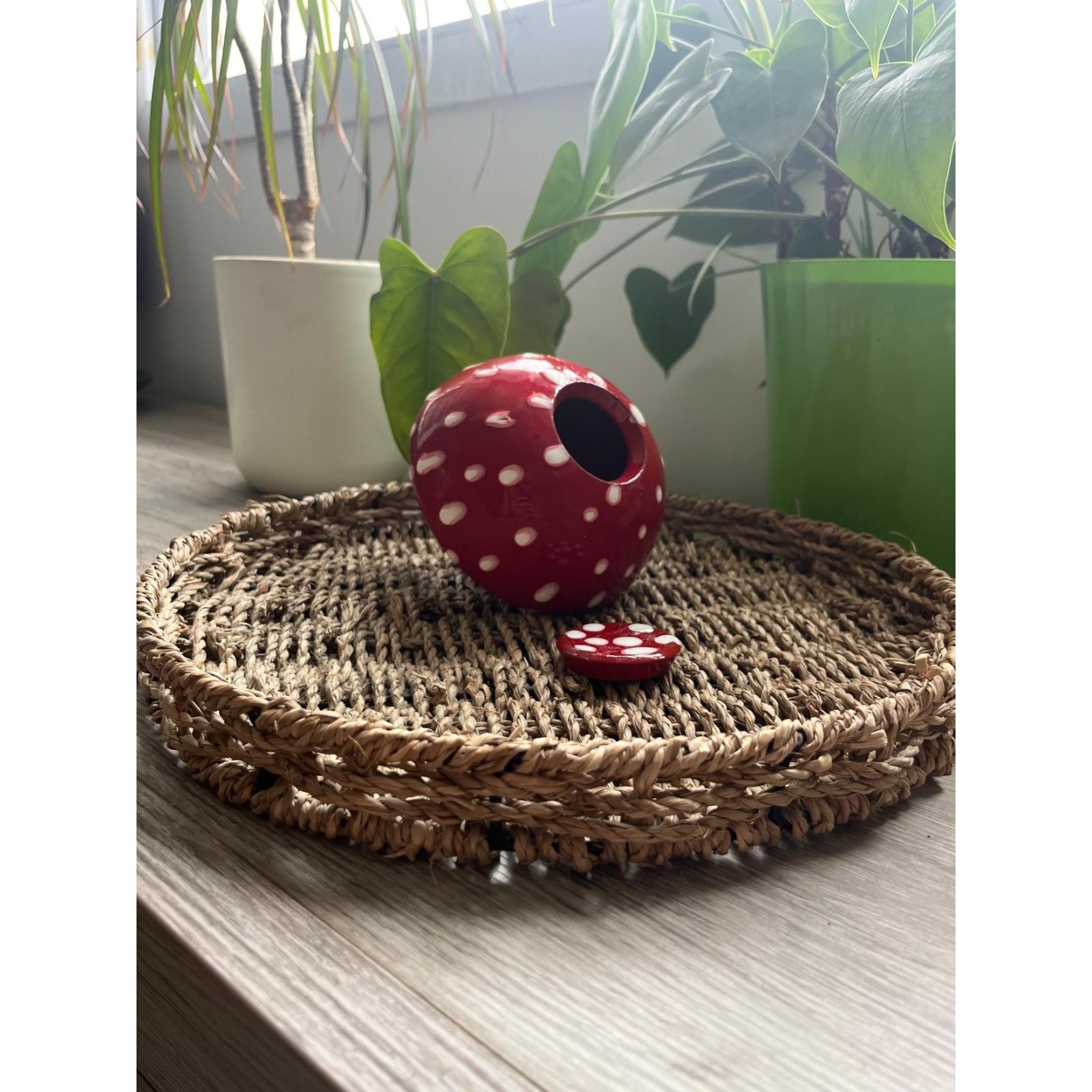 Ollas Champignon - Entre déco féerique et arrosage intelligent