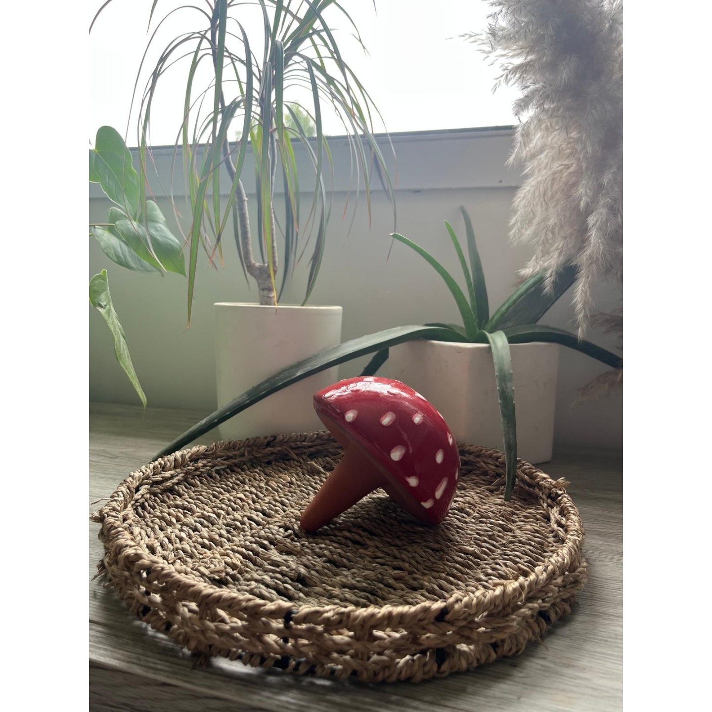 Ollas Champignon - Entre déco féerique et arrosage intelligent