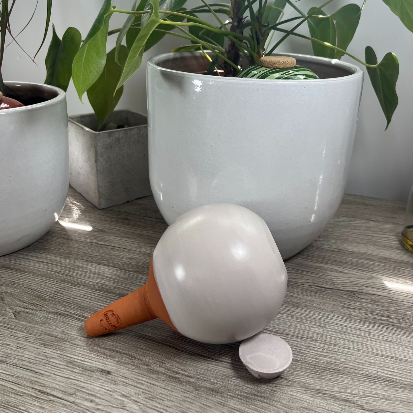 Ollas à planter Glam