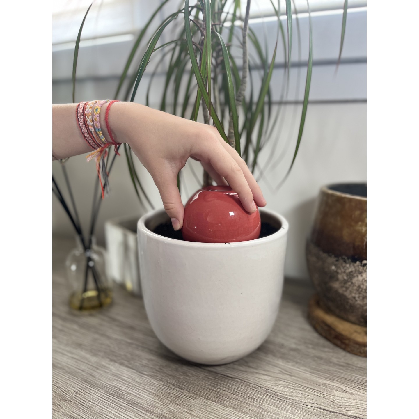 Mini Ollas à Planter Acheter - Ollas Lutton - Diffuseur d'eau autonome