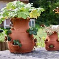 Tour à Fraisier en Poterie Fait Main -  Pour votre Jardin