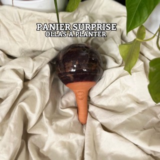 Panier Surprise à Ollas Planter - Idéal pour vous offrir votre propre ollas à plante de 40 cl , à un prix imbatable de 14 euros