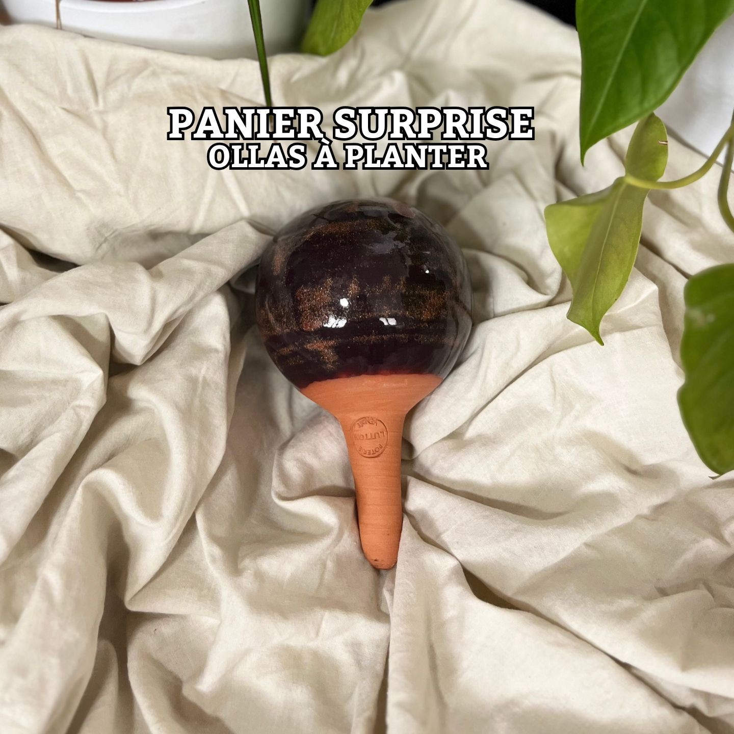 Panier Surprise à Ollas Planter  à un prix imbatable de 14 euros