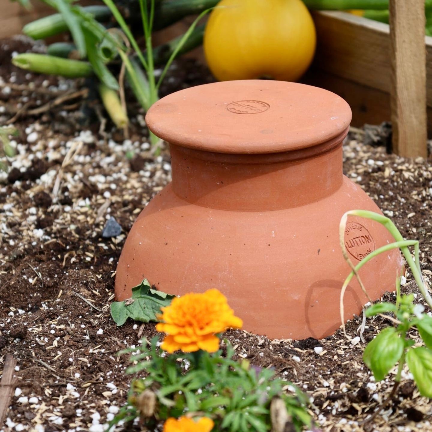 Ollas Jardinier à Enterrer irrigation autonomne