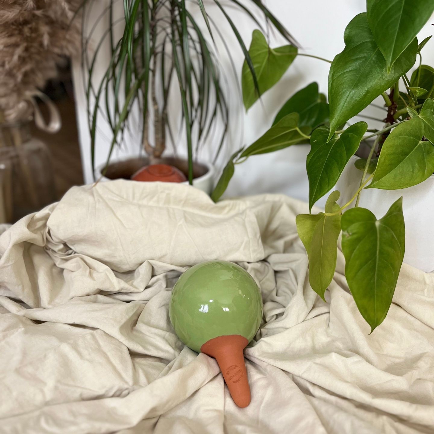 Ollas à Planter Pastel Acheter - Ollas Lutton - Diffuseur d'eau autonome