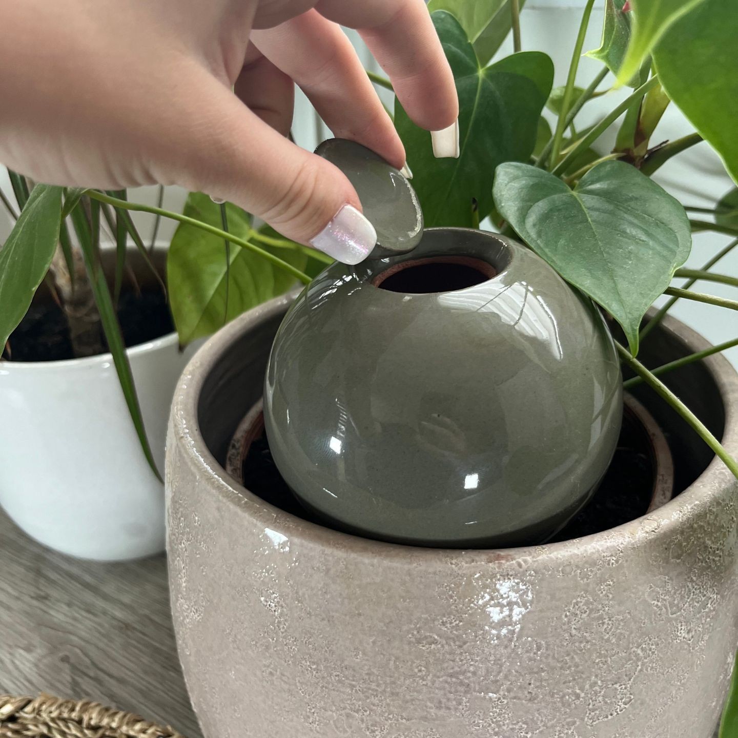 Ollas à Planter Medium -  Fabrication 100% artisanale en Vendée.