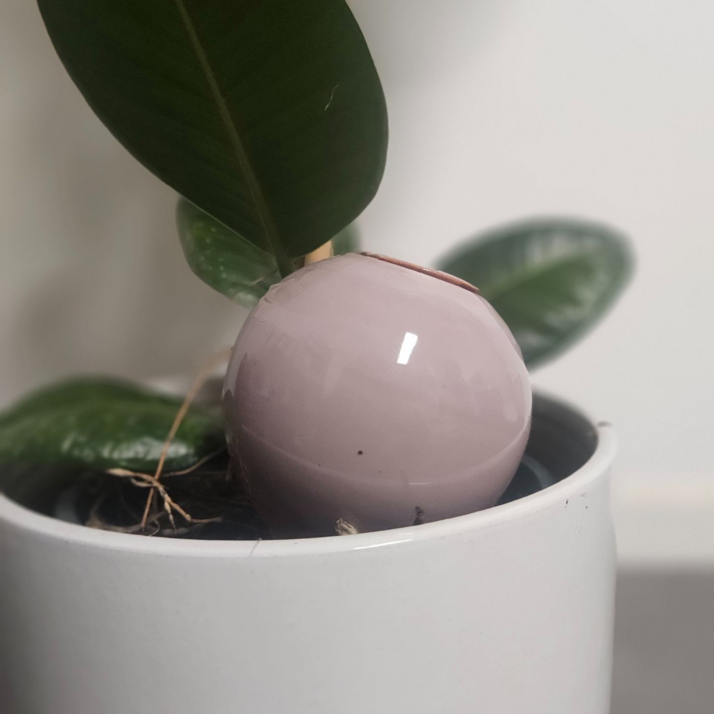 Ollas à Planter Nuancées - Poterie Lutton