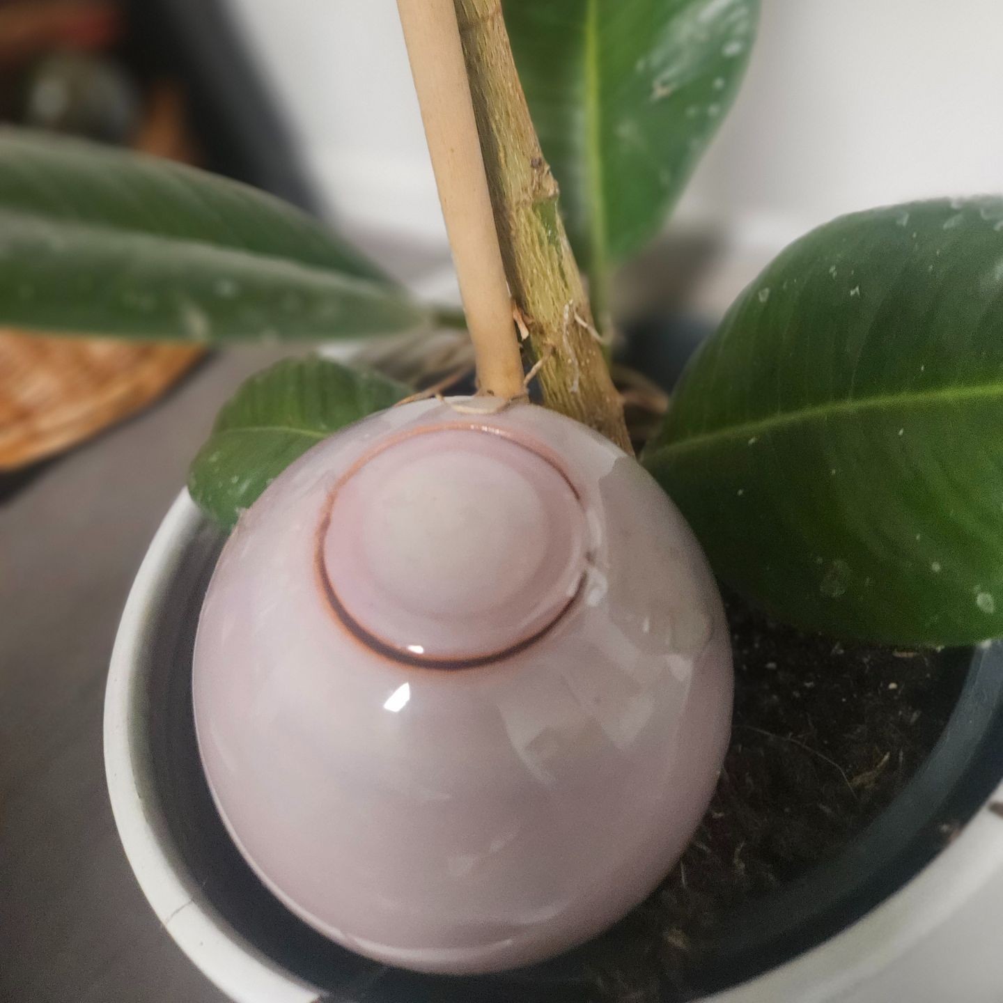 Ollas à Planter Nuancées - Poterie Lutton