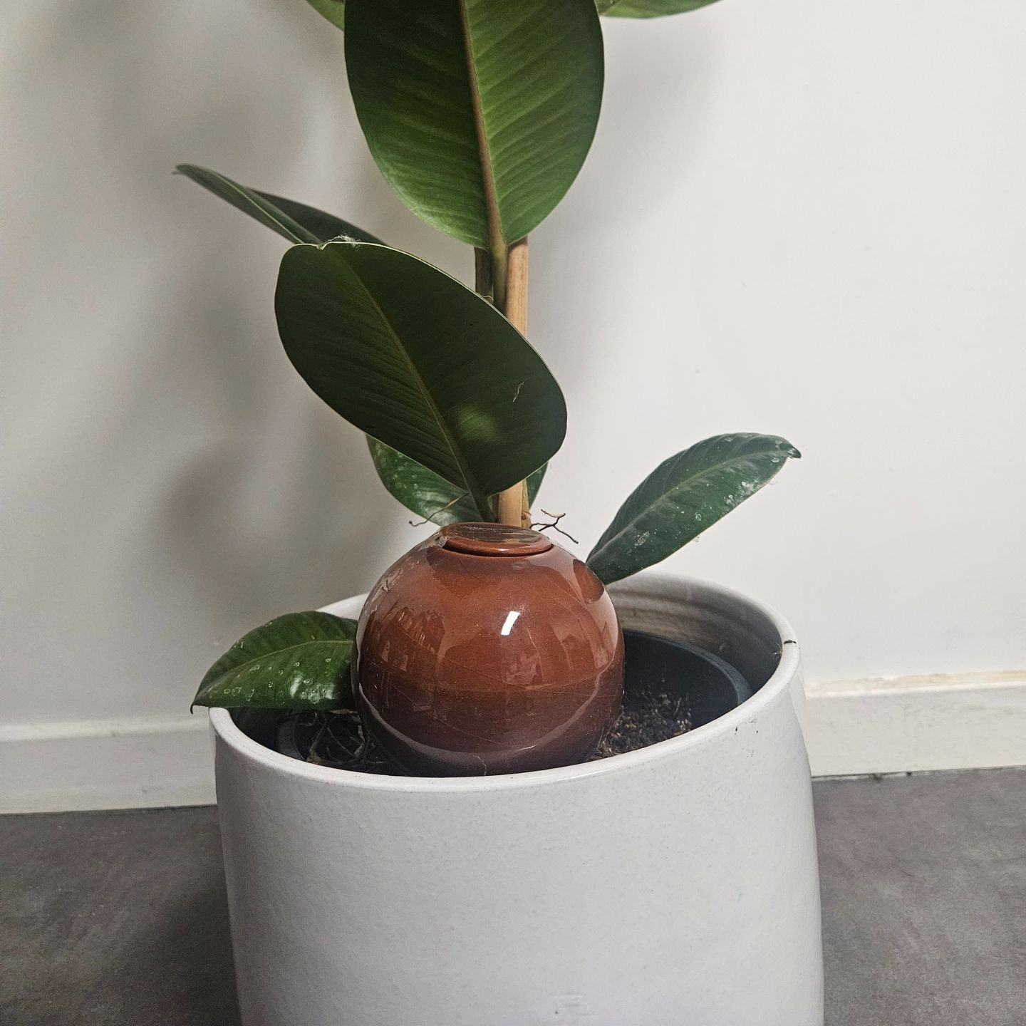 Ollas à Planter Nuancées - Poterie Lutton