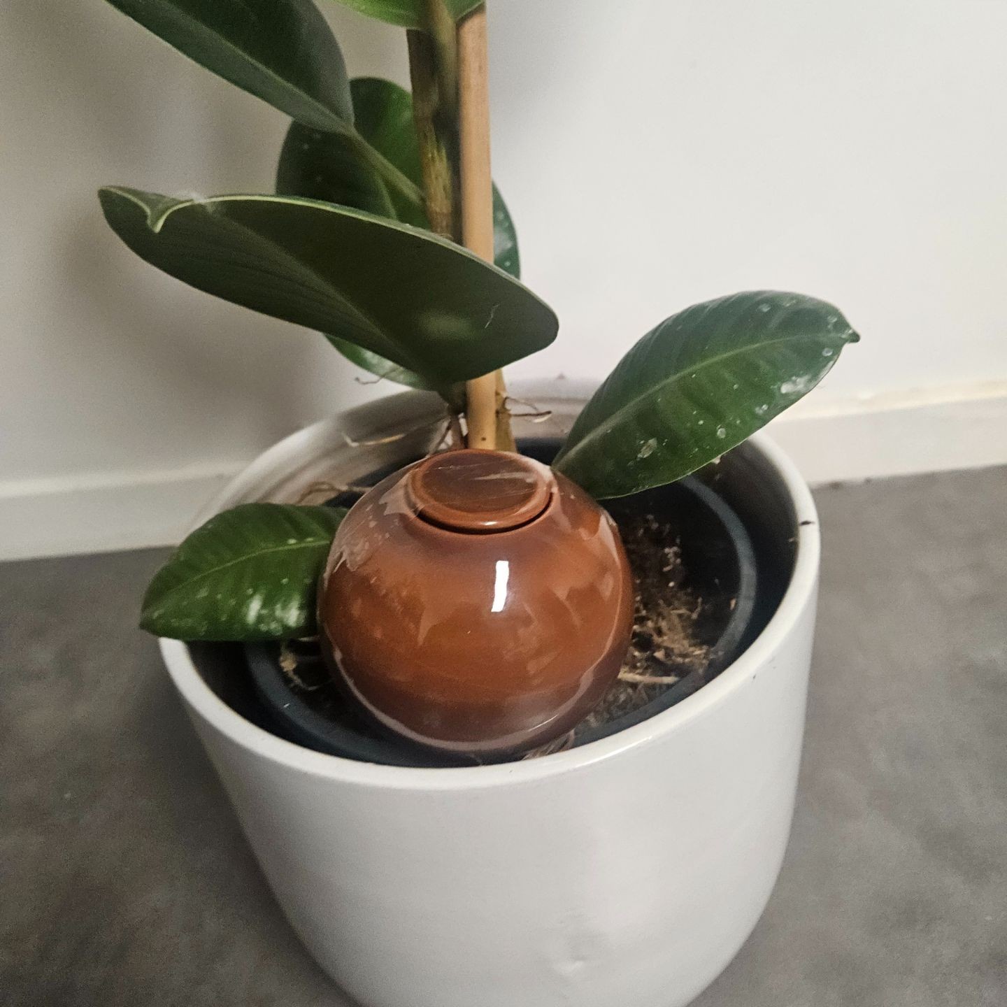 Ollas à Planter Nuancées - Poterie Lutton