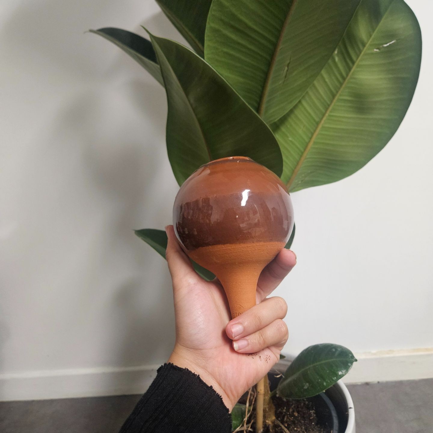 Ollas à Planter Nuancées - Poterie Lutton