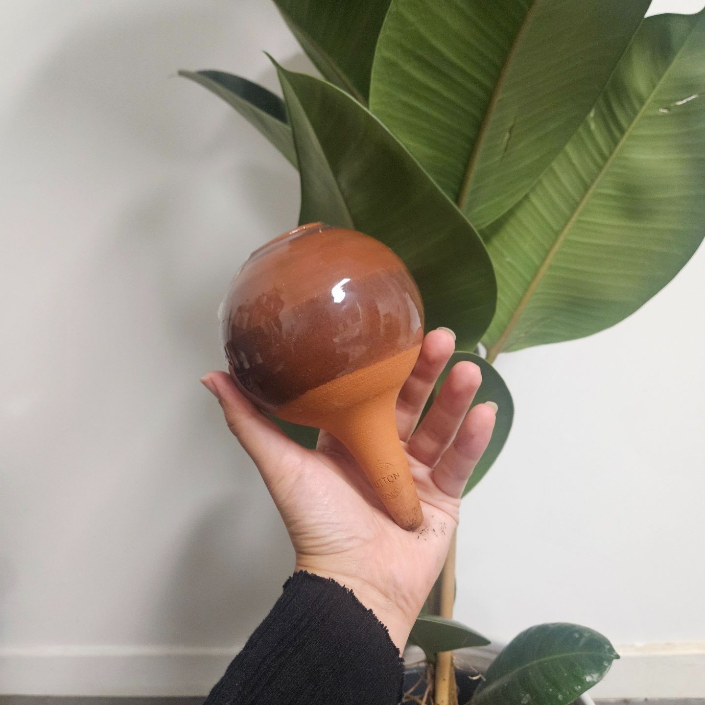 Ollas à Planter Nuancées - Poterie Lutton