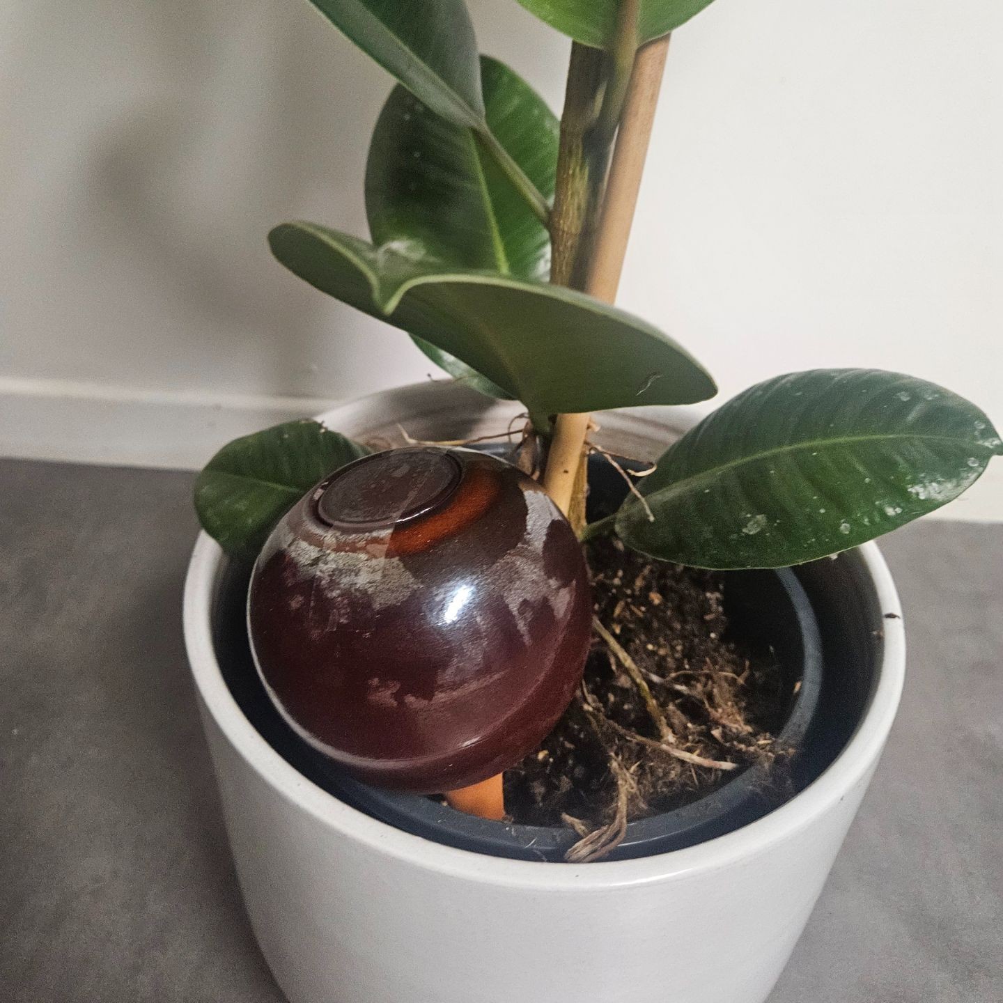 Ollas à Planter Nuancées - Poterie Lutton