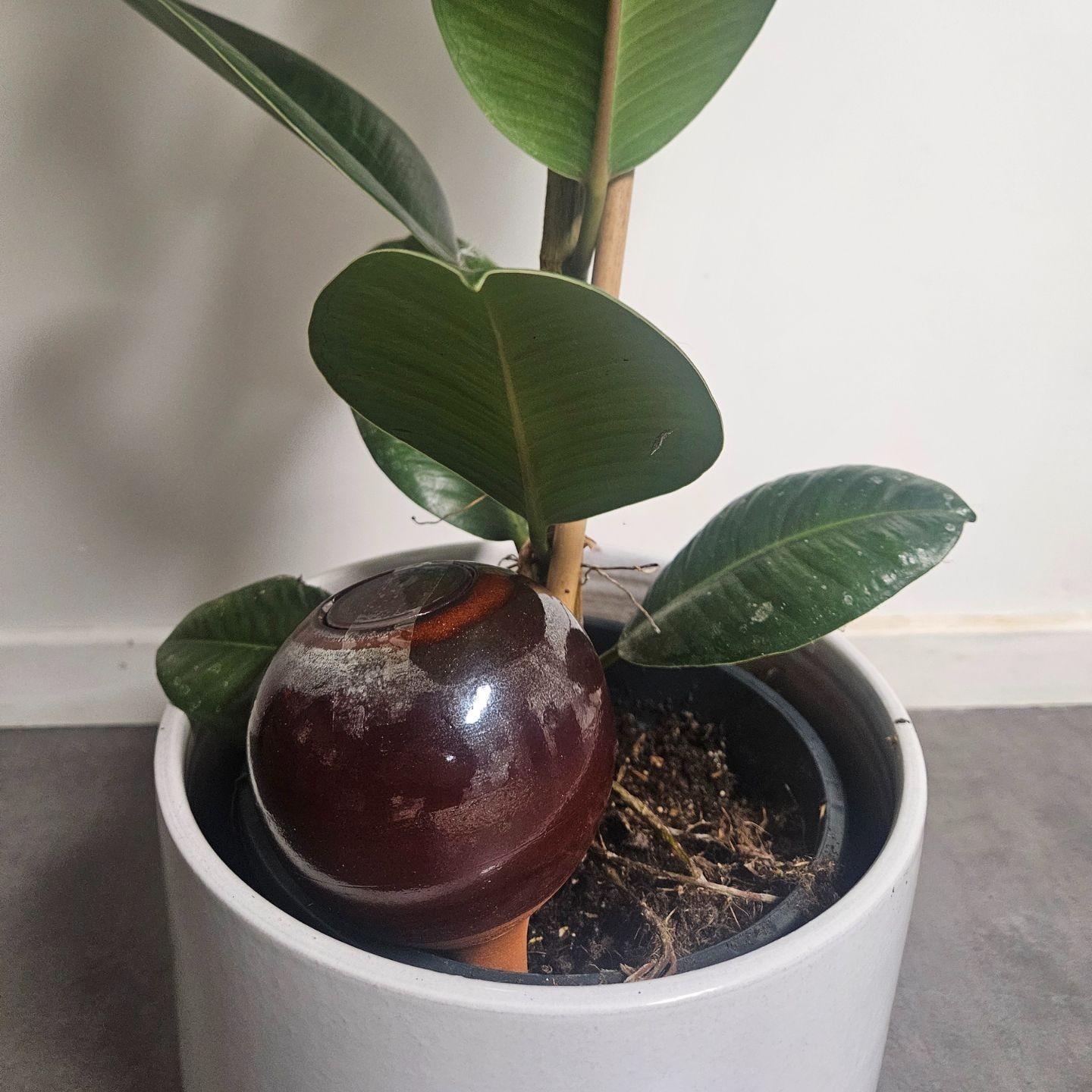 Ollas à Planter Nuancées - Poterie Lutton