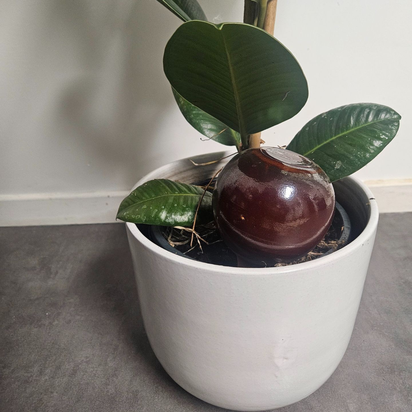 Ollas à Planter Nuancées - Poterie Lutton