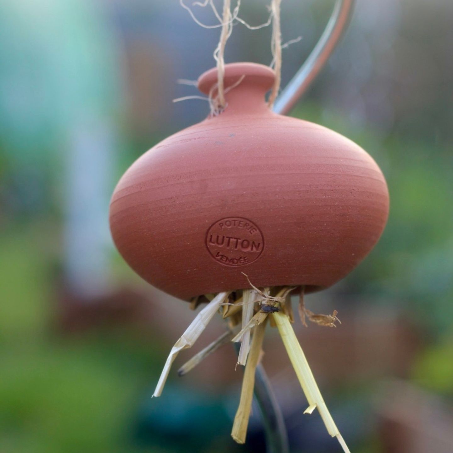 Cocon pour Perce-oreilles - Ollas Lutton