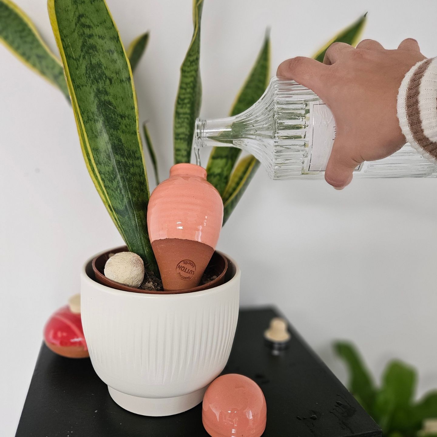 MINI OLLAS A PLANTER SABEUR