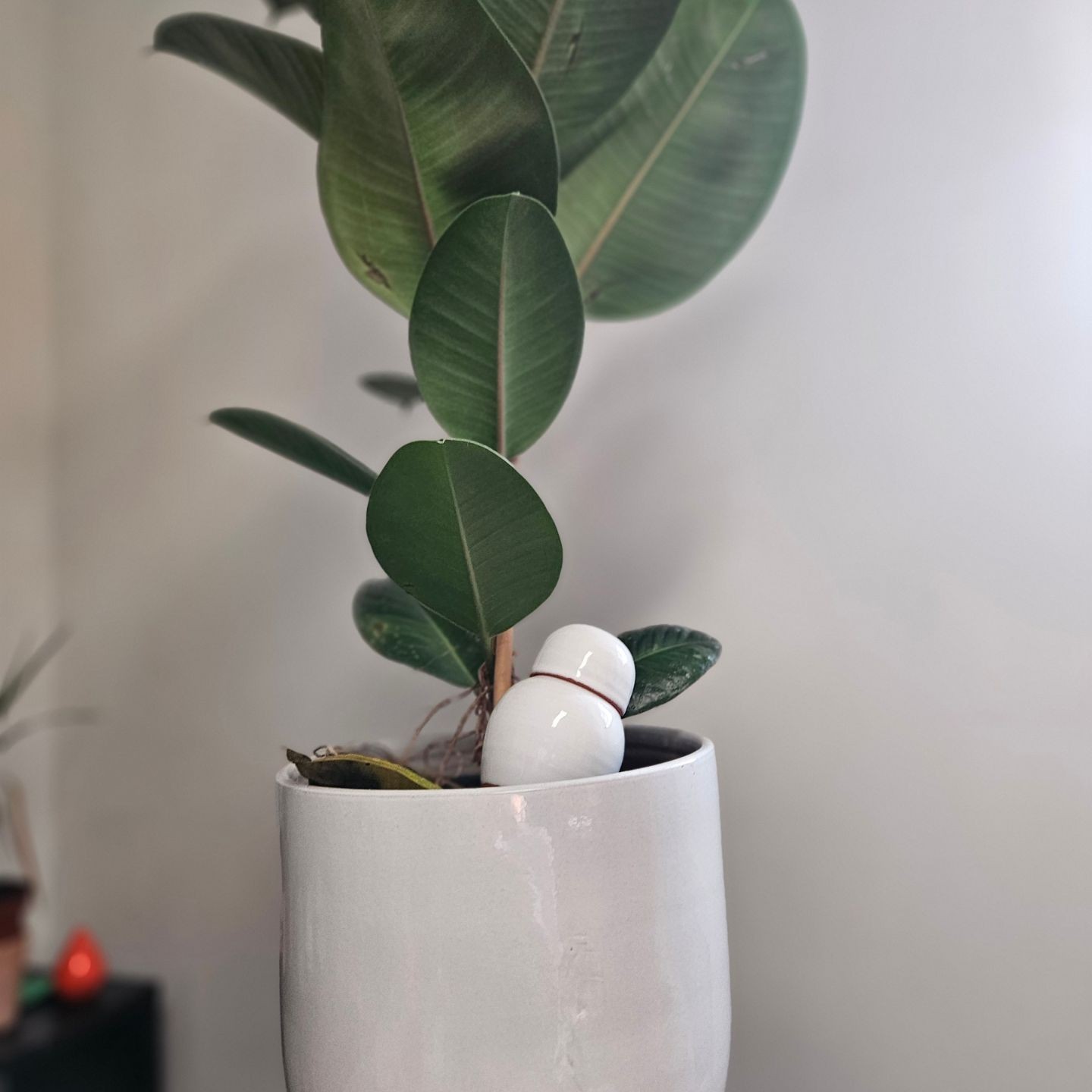 MINI OLLAS A PLANTER SABEUR