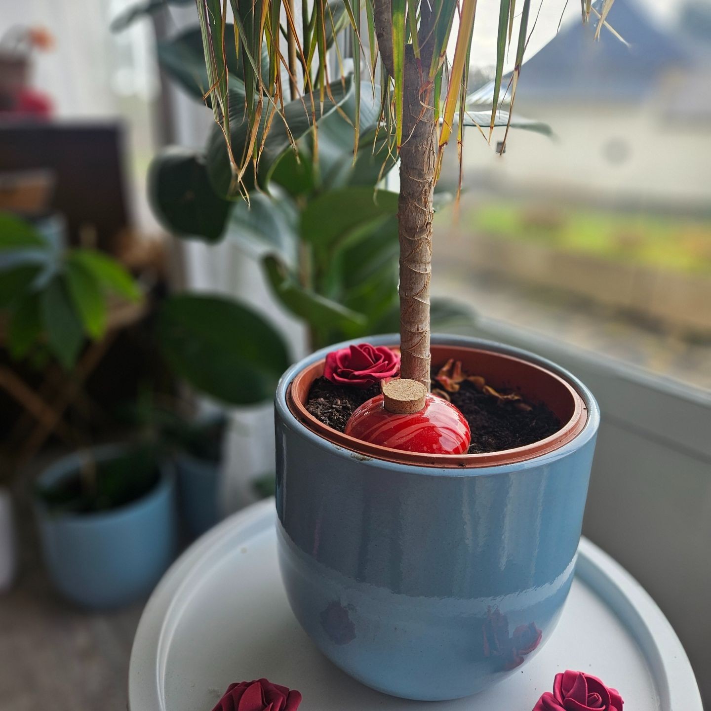 Coffret d’ollas Amore – Cadeau Saint-Valentin Romantique & Écologique