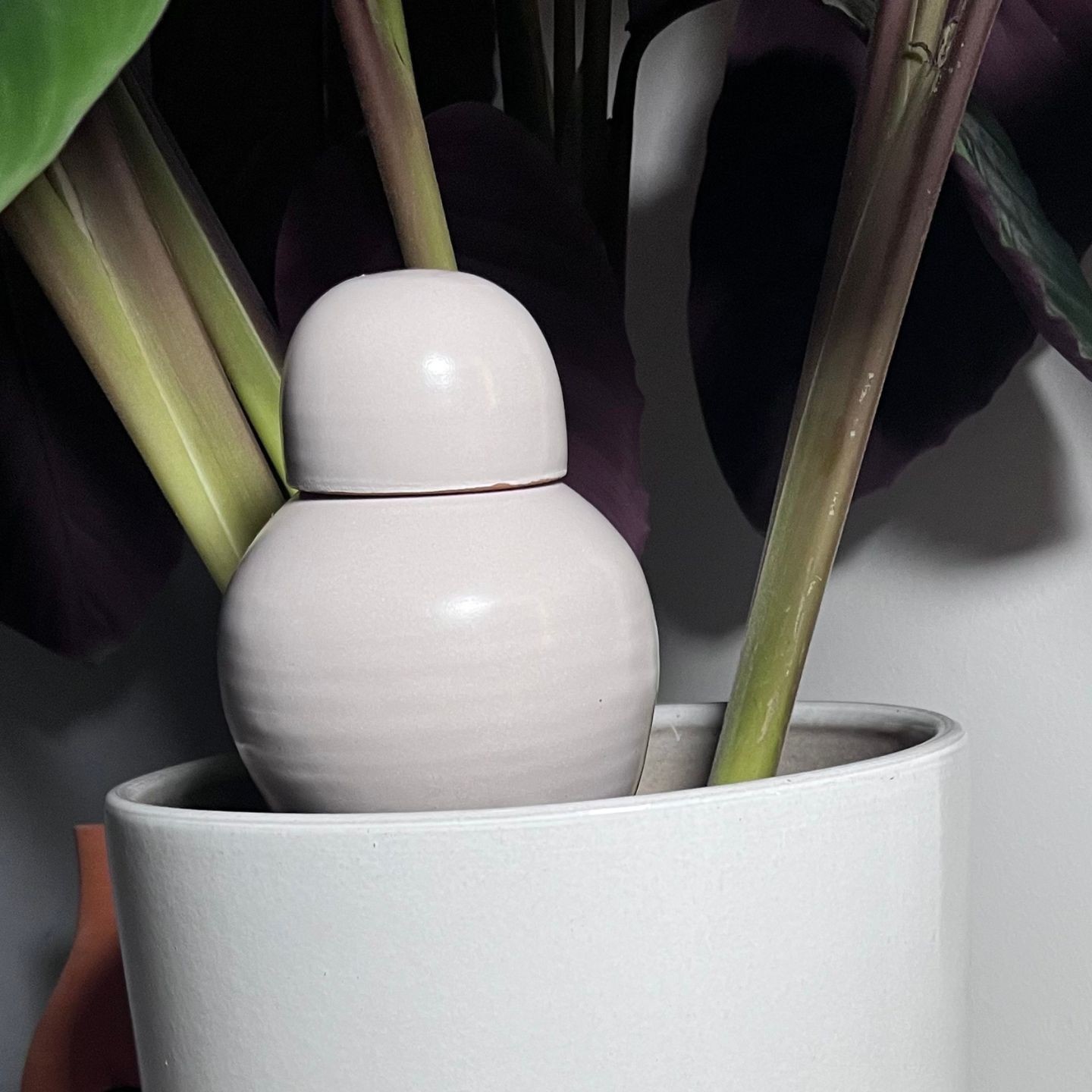 Ollas Sabeur glam à Planter – Arrosage Autonome Design et Écologique