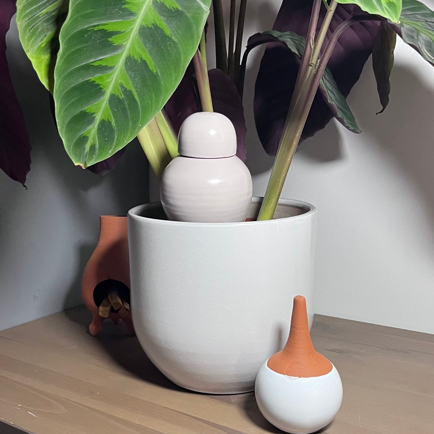 Ollas Sabeur glam à Planter – Arrosage Autonome Design et Écologique