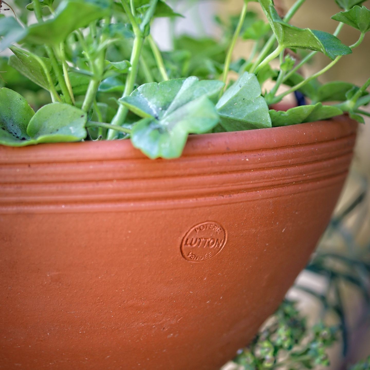 Pot à suspendre - Ollas Lutton