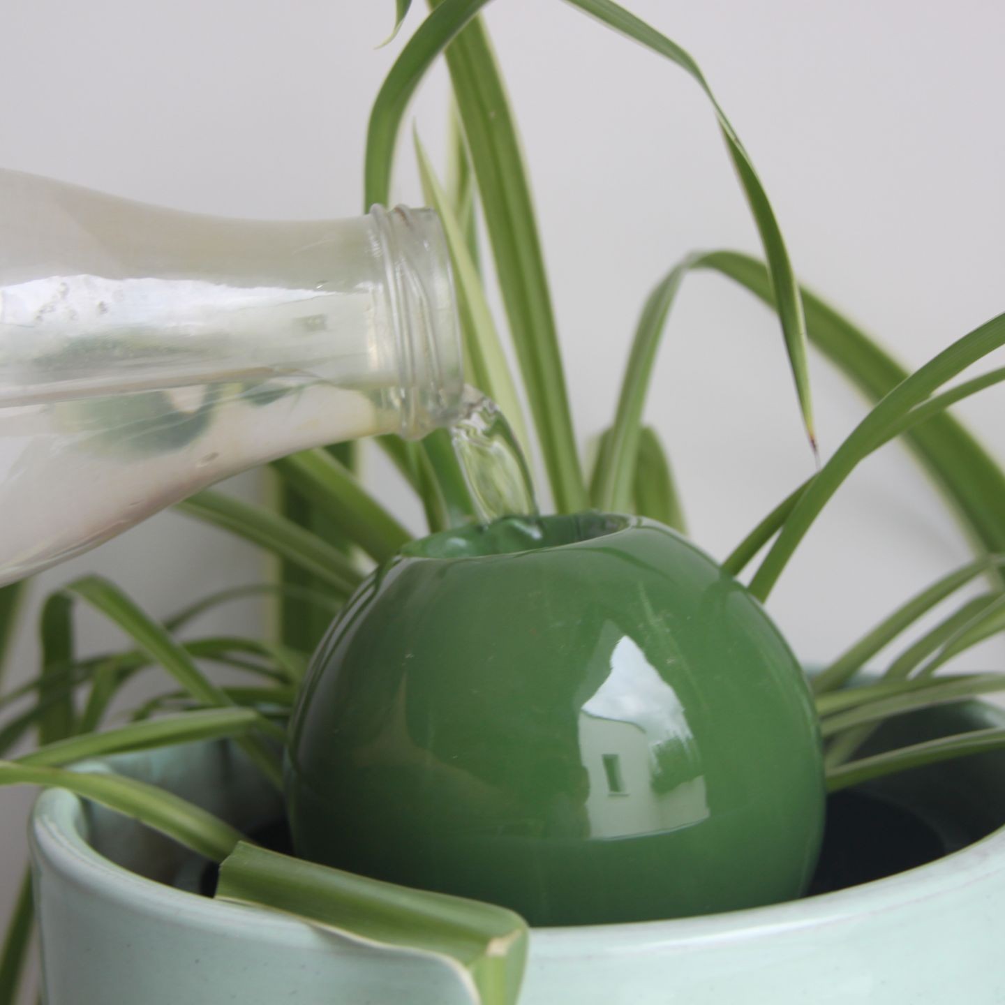 Ollas à Planter Medium -  Fabrication 100% artisanale en Vendée.