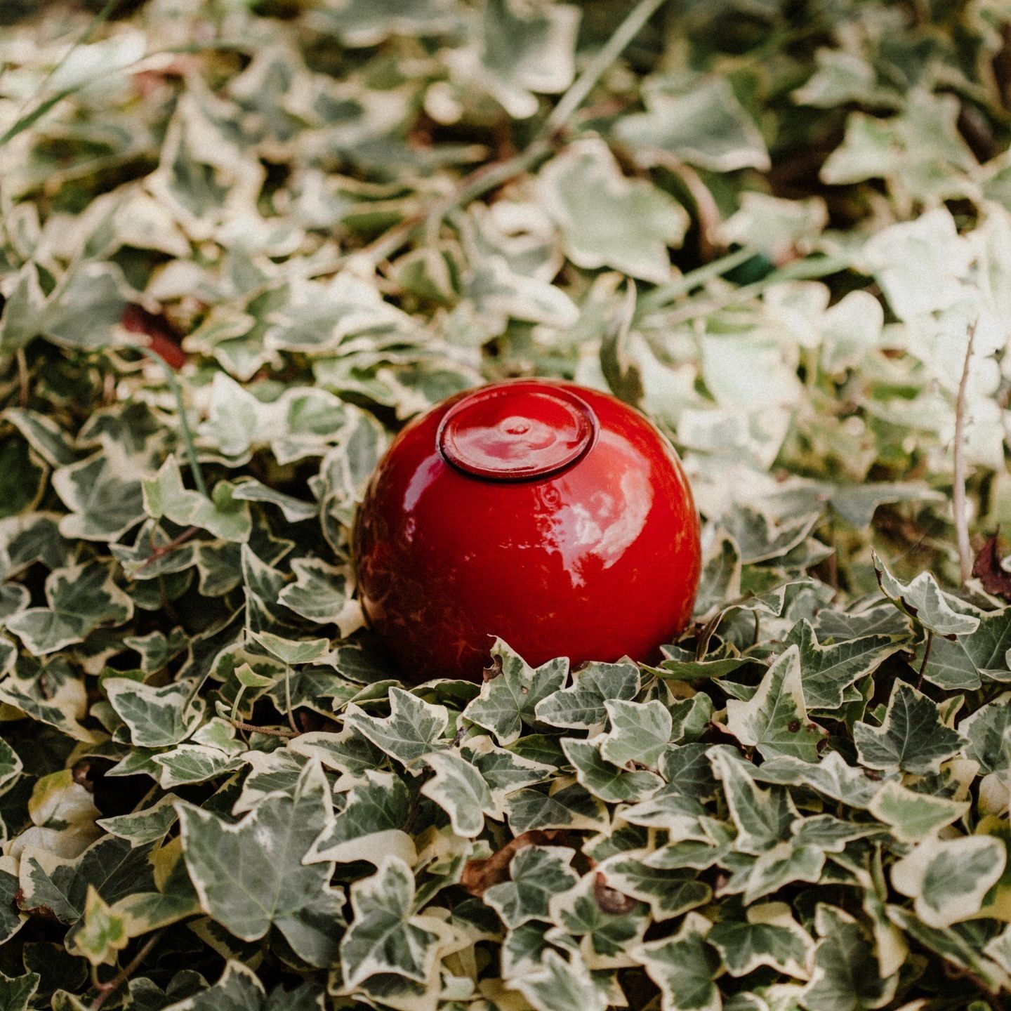 Ollas à Planter Medium -  Fabrication 100% artisanale en Vendée.