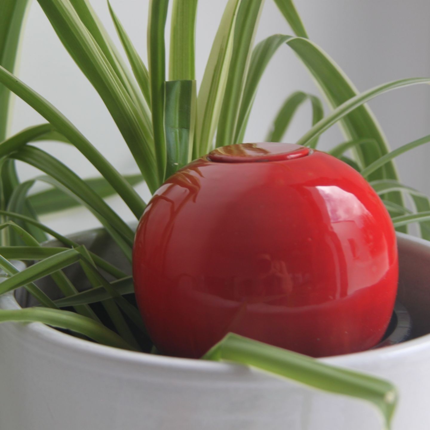 Ollas à Planter Medium -  Fabrication 100% artisanale en Vendée.