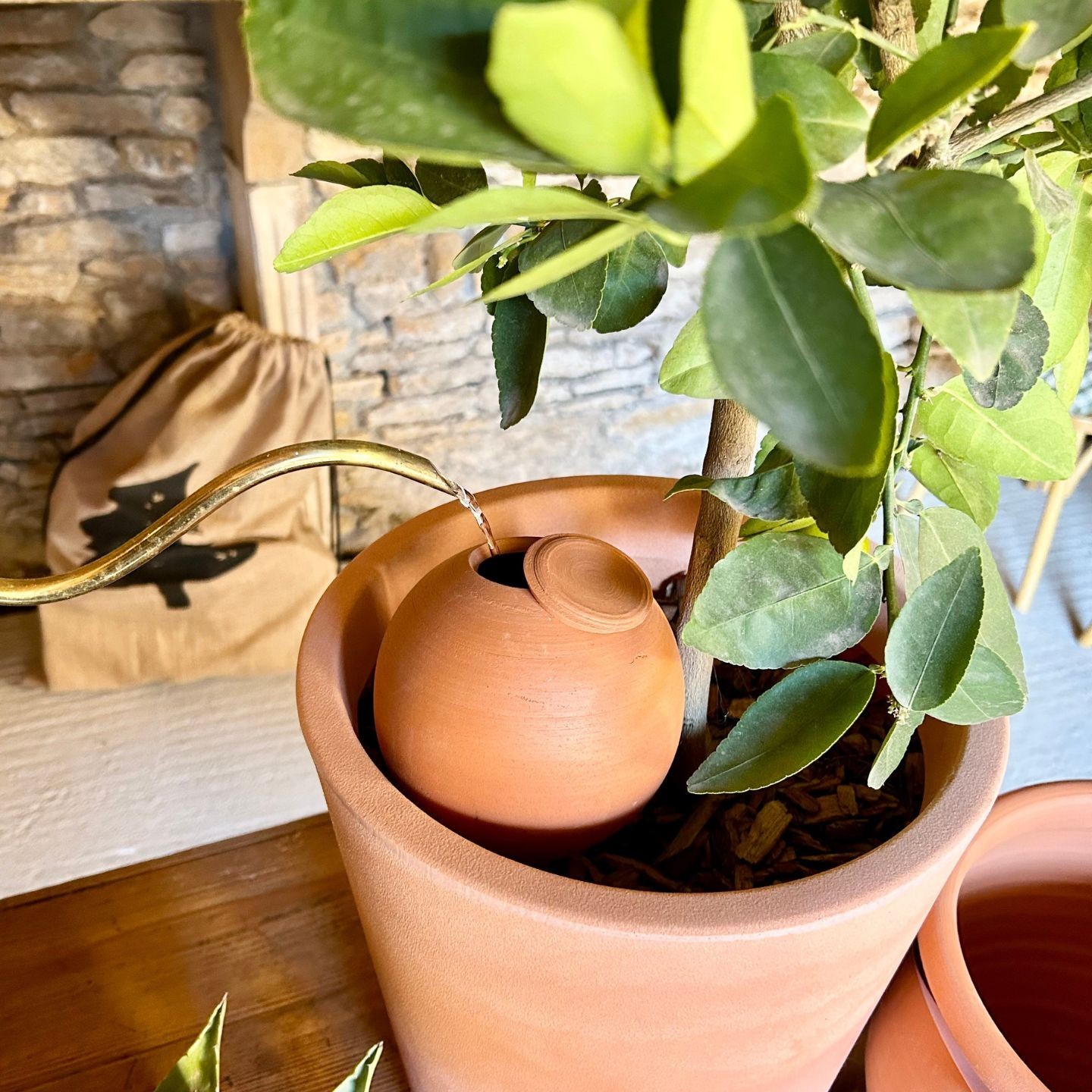 Ollas à Planter Medium – Poterie artisanale française | Arrosage naturel et durable – Ollas Lutton