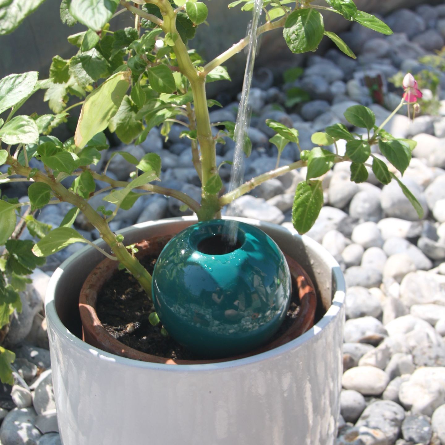 Ollas à Planter Medium -  Fabrication 100% artisanale en Vendée.