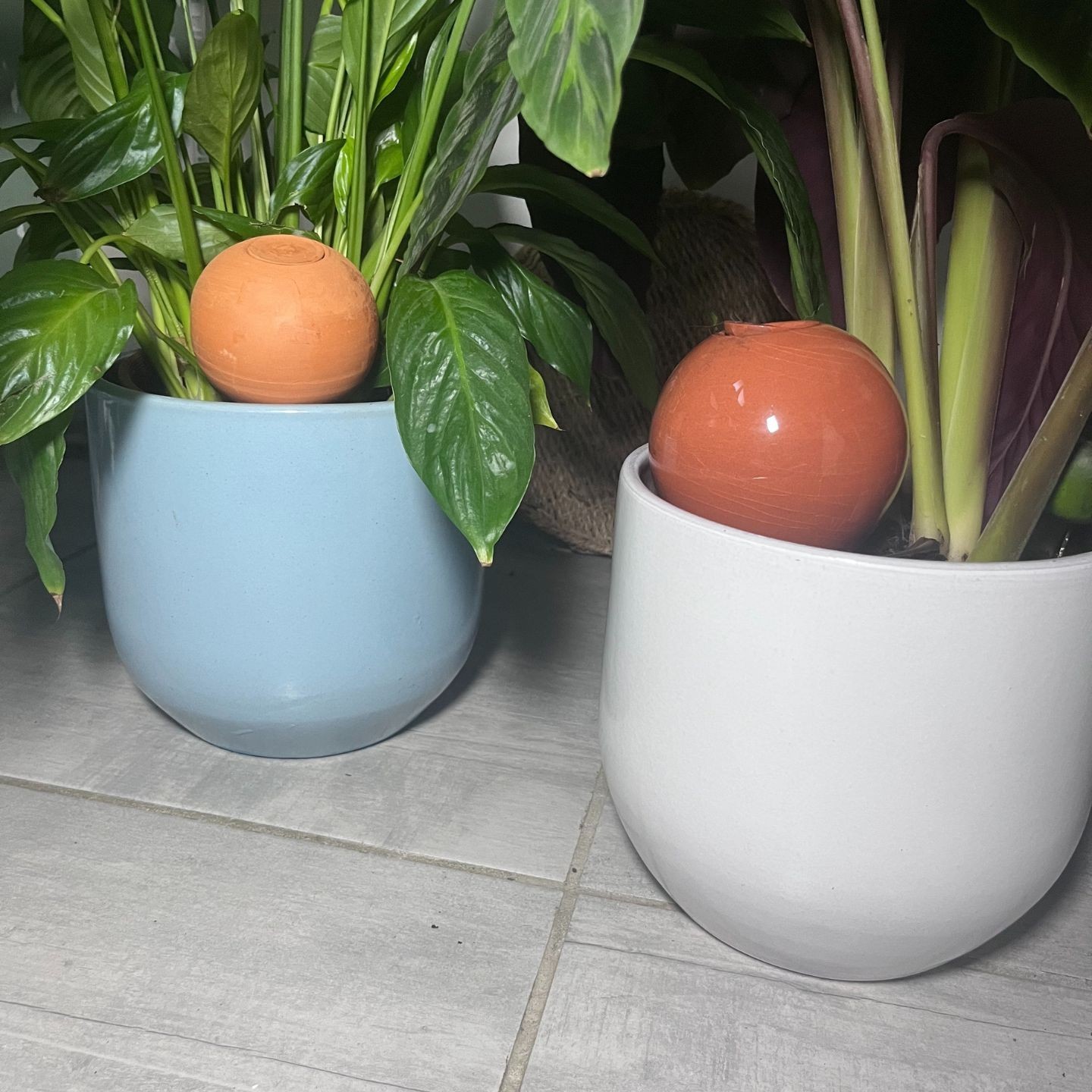 Ollas à Planter Medium -  Fabrication 100% artisanale en Vendée.