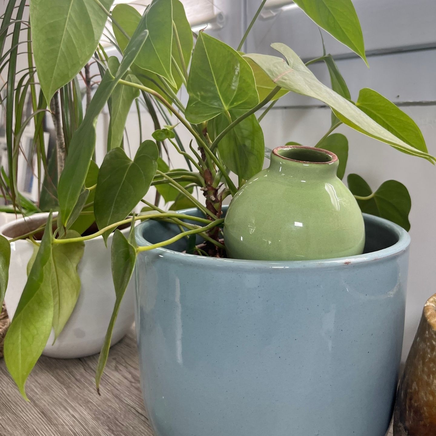 Ollas Sabeur – Ollas Lutton – Autonoomne kastmissüsteem