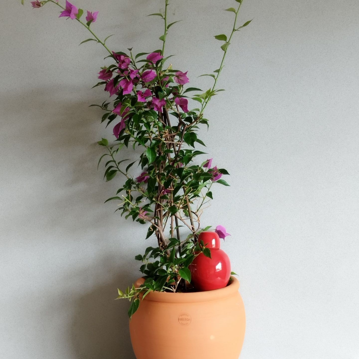 Ollas Sabeur – Ollas Lutton – Autonoomne kastmissüsteem